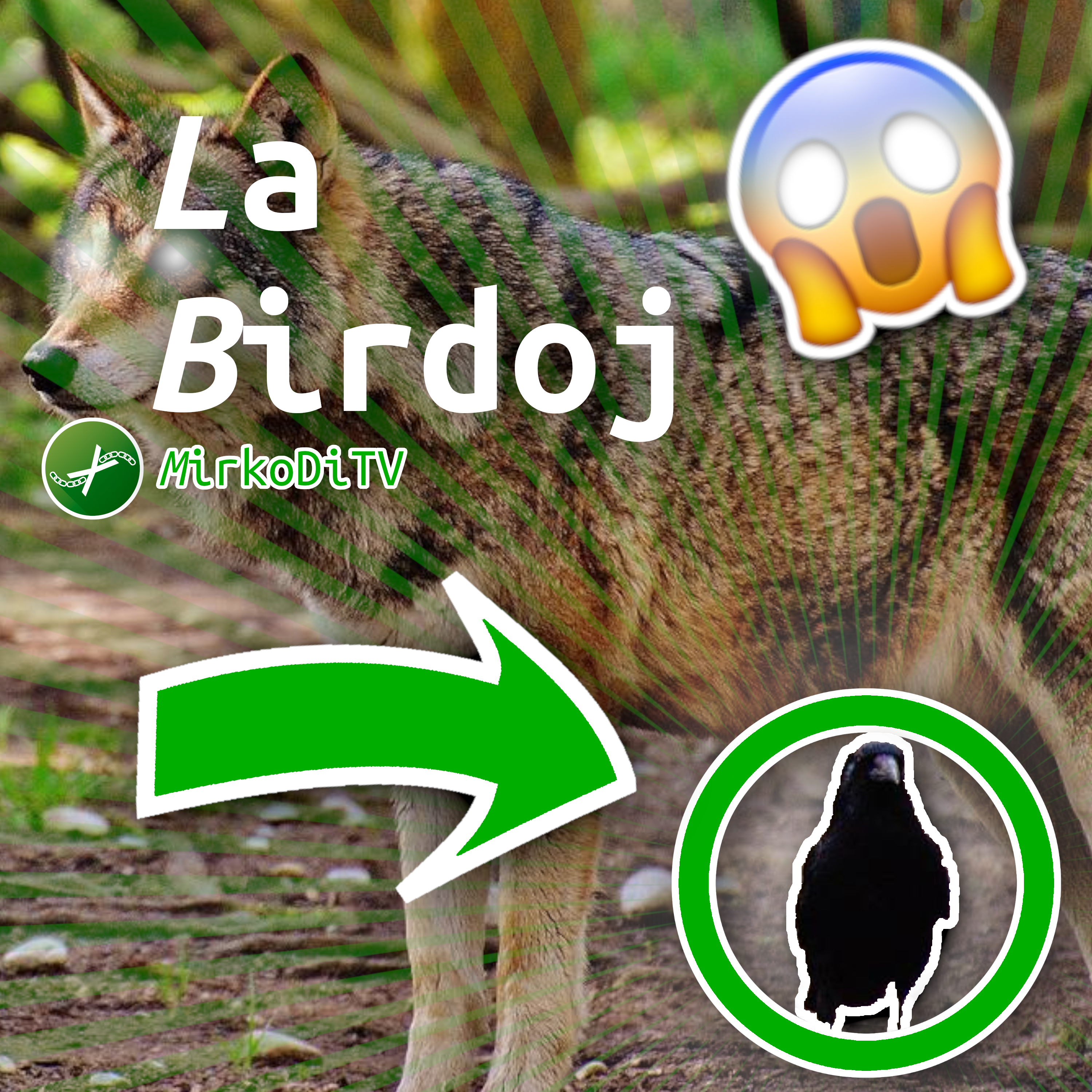 Scritte 'La Birdoj', 'MirkoDiTV' su uno sfondo
                         rappresentante un lupo che ha un uccello, sotto.
                         L'immagine ricorda una copertina <i>clickbait</i>
                         dell'era di YouTube del 2016, e per finire è
                         presente una faccina scioccata.